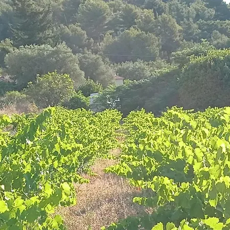 La Naronne Bandol