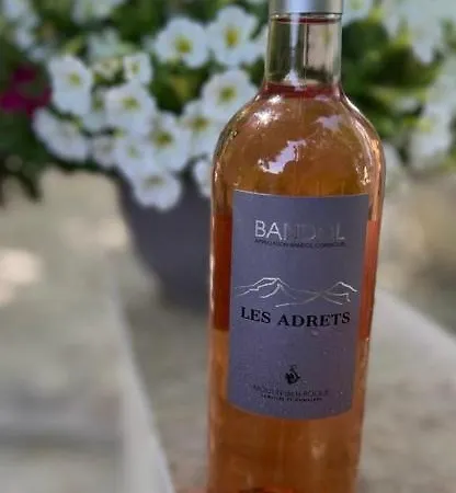 Alojamento de Acomodação e Pequeno-almoço La Naronne Bandol