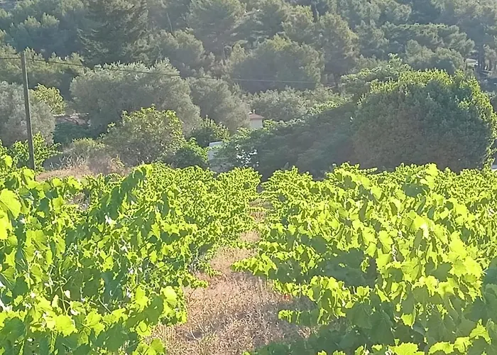 La Naronne Bandol